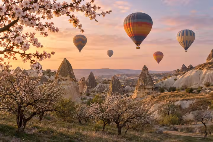 Hot air balloons above Cappadocia fairy chimneys and flowering trees at spring sunrise