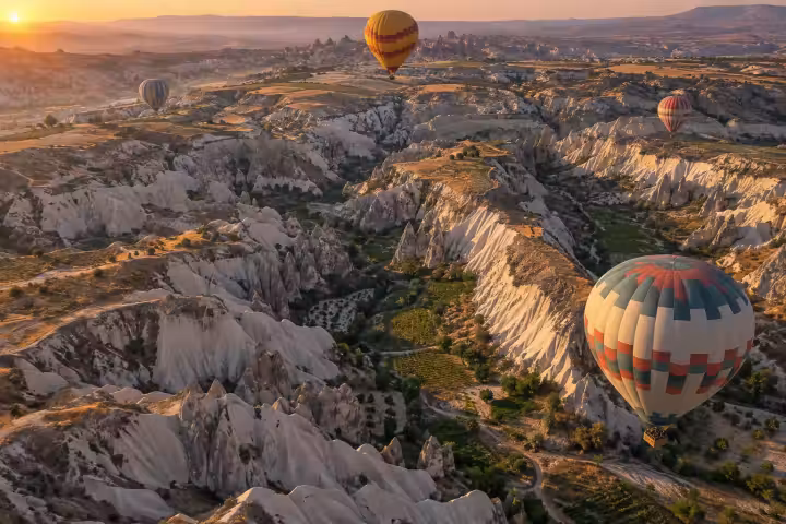 Sunrise hot air balloons over branching Cappadocia valleys and small vineyard plots