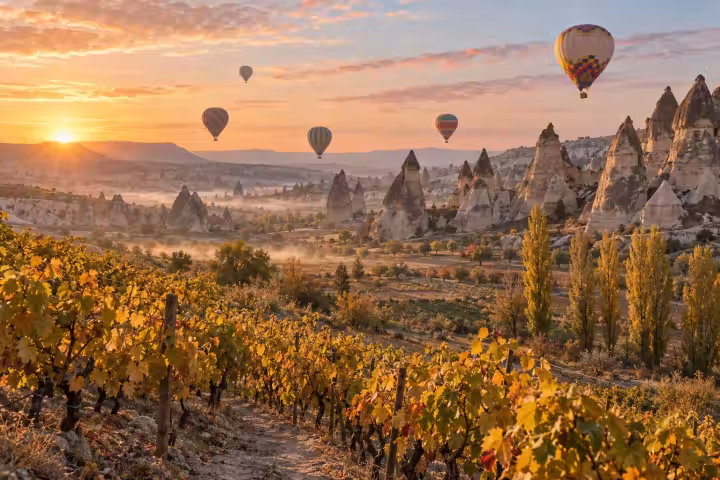 Sunrise balloons above Cappadocia fairy chimneys with golden autumn vines and poplar trees