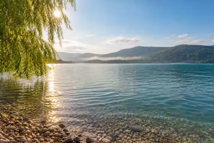 Morning sunlight across Sapanca Lake with willow branches and a clear pebble shoreline