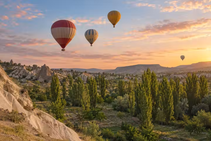 Hot air balloons at sunrise above green poplar trees, garden plots and pale rock hills in a Cappadocia spring valley
