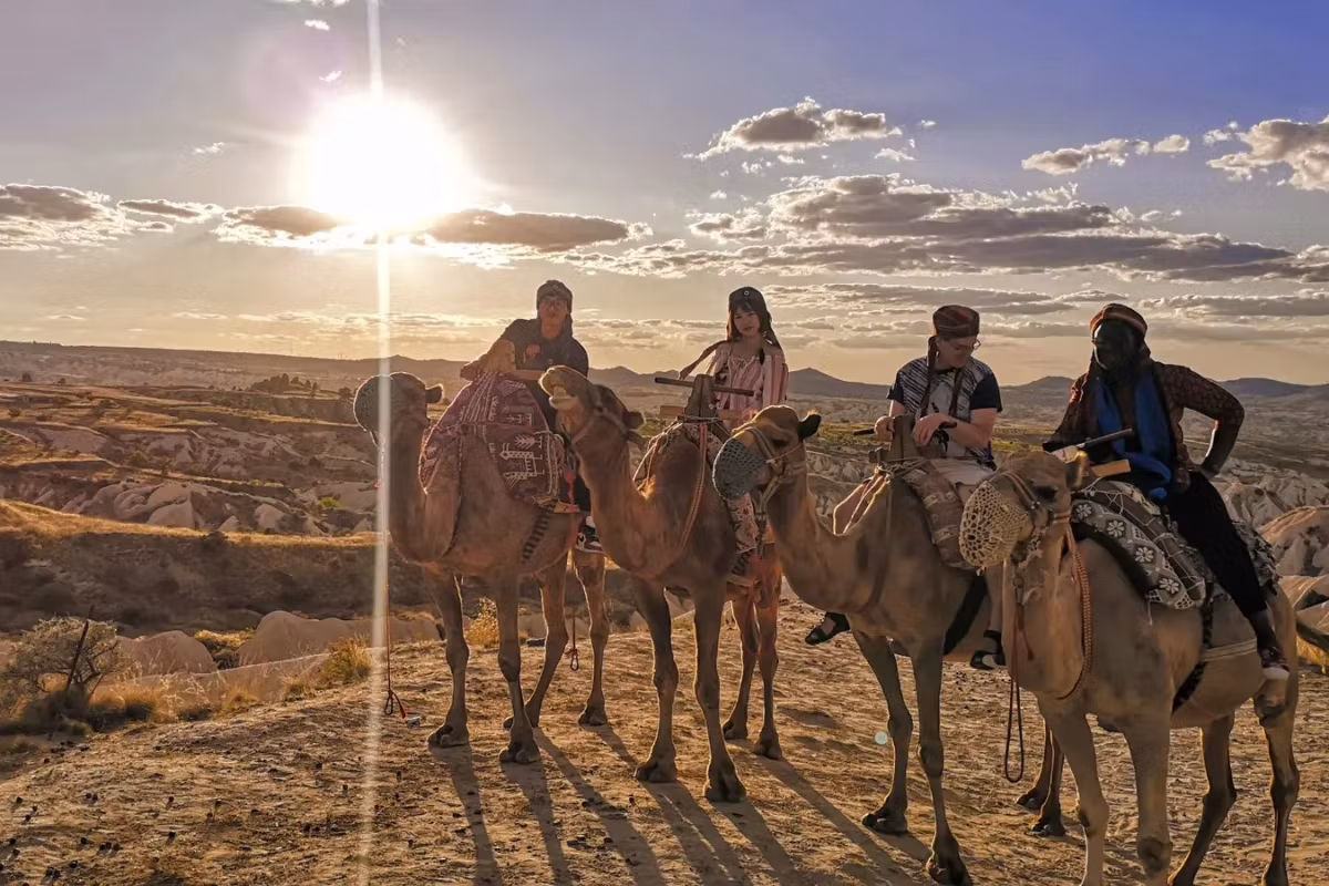 Row of mounts facing the sinking sun in Cappadocia, shadows drawn out over dusty ground