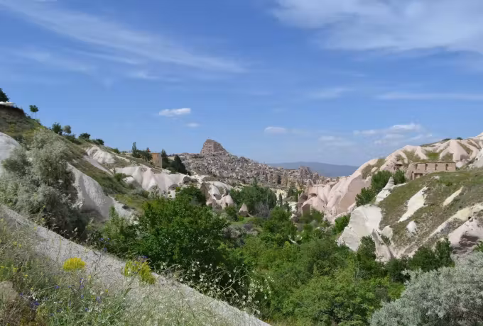 Brush covering the pale slopes of Pigeon Valley with the Uchisar crag far off