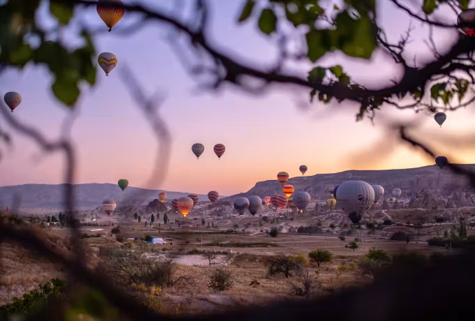 Lilac and pale gold daybreak seen past bare twigs, envelopes low over the valley, Cappadocia