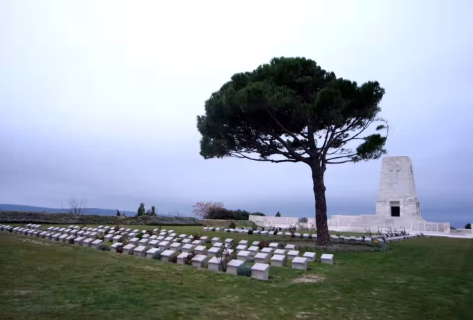 Canopy of the one tree reaching across ordered plaques on the crest at Gallipoli