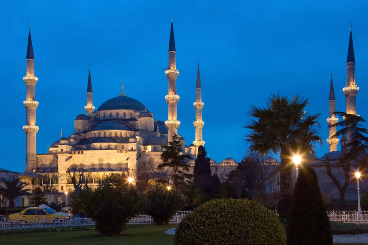 Fronds reduced to black shapes before an illuminated elevation as the sky goes deep, Istanbul