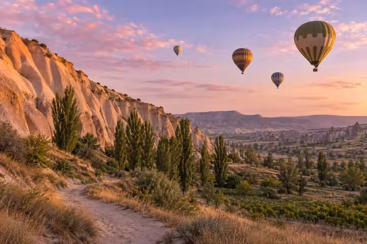 Four hot air balloons above a Cappadocia valley trail, pale rock walls and poplar trees at sunrise