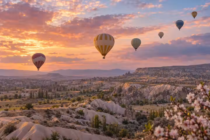 Six hot air balloons above Cappadocia valleys at sunrise with spring blossoms in the foreground