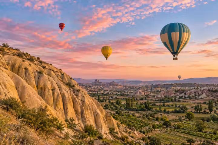 Four hot air balloons above Cappadocia vineyards and rock slopes beneath a pink sunrise sky