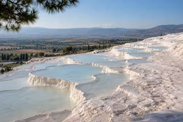 Pale blue Pamukkale basins and white travertine rims framed by pine branches